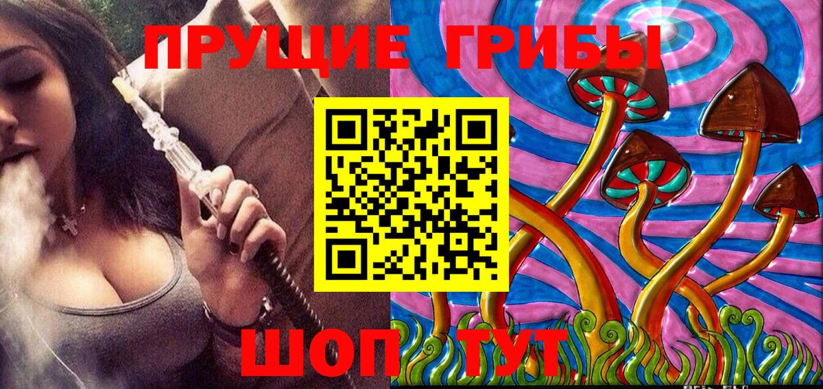 Реж  Галлюциногенные грибы Psilocybine cubensis  Вход с VPN  купить   Галлюциногенные грибы прущие грибы 