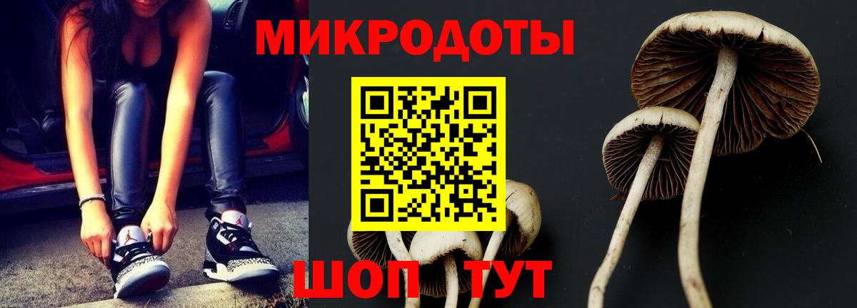 Галлюциногенные грибы Cubensis Реж